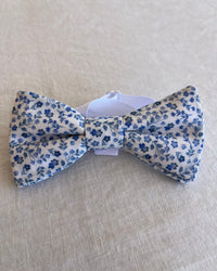 Noeud Papillon blanc à fleur bleu de Balthazar face