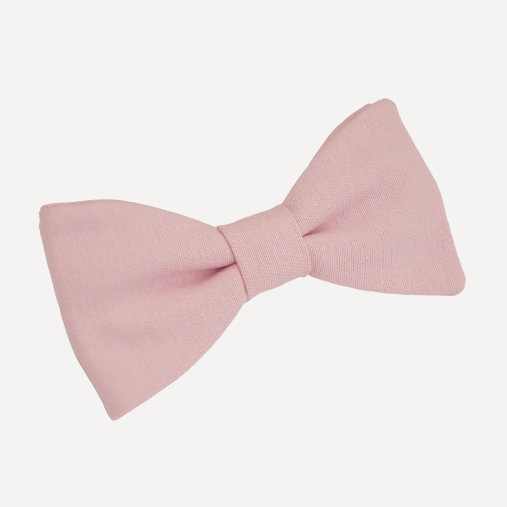 Noeud Papillon rose poudré de Éloi cote