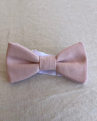 Noeud Papillon rose poudré Éloi face