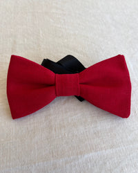 Noeud Papillon rouge Prosper face