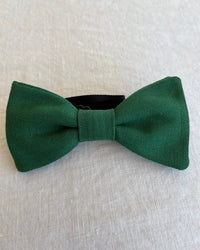 Noeud Papillon vert foncé Basile face
