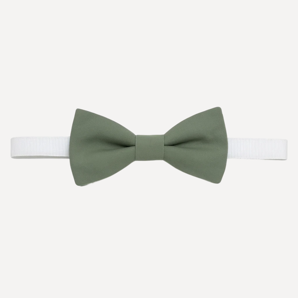 Noeud Papillon vert sauge de Octave avec ruban